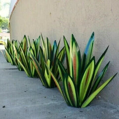 🔥Summer Sale 49% OFF 🎁Anti-rust Metal Tequila Agave Plant