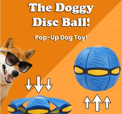 🐕The Doggy Disc Ball Toy❤️