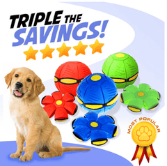 🐕The Doggy Disc Ball Toy❤️